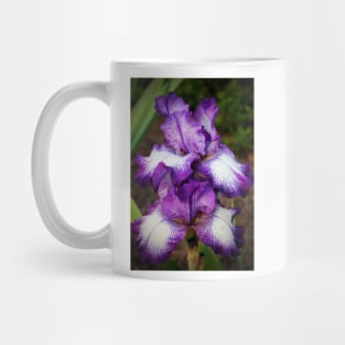 Purple And White Iris Mug